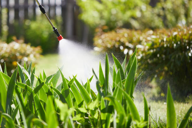 24/7 Emergency Wasp Removal experts in Walkersville, MD