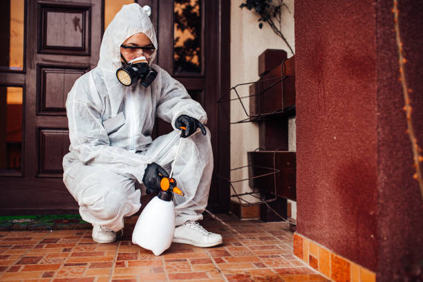 Reliable Wasp Removal contractor in Walkersville, MD by Show Me Pest Control